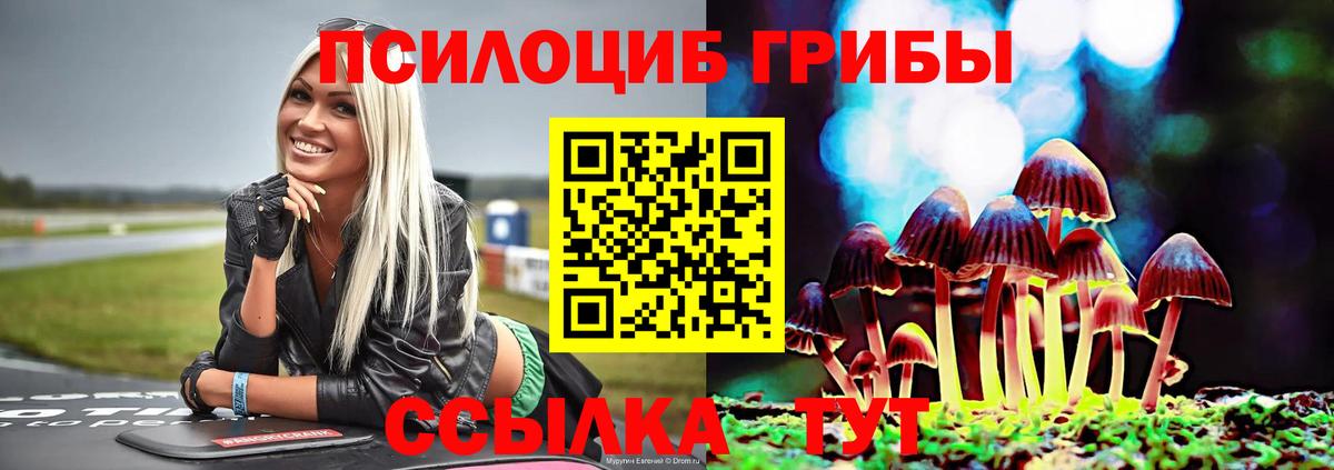 Ленинск-Кузнецкий  Галлюциногенные грибы ЛСД  Вход с VPN 